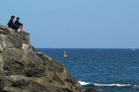 竜頭岬 (桂浜)
