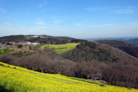 花の大斜面・西の景色