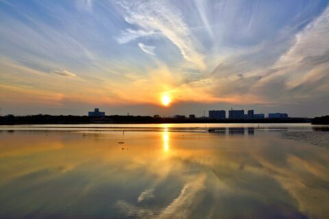 ​谷津干潟の夕焼け