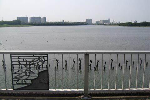谷津干潟