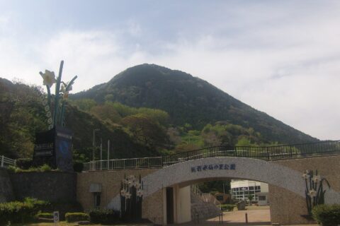 重要文化的景観選定「越前海岸の水仙畑 下岬の文化的景観」（福井県福井市）にある越前水仙の里公園