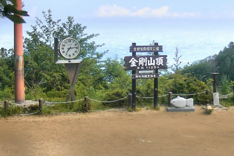 金剛山 山頂広場（国見城跡） 撮影日：2023年（令和5年） 5月27日 早朝05時。
