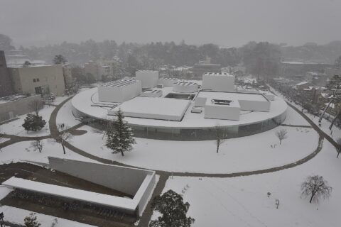 21st Century Museum of Contemporary Art, Kanazawa (Ishikawa, Japan)