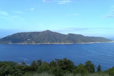 牡鹿半島から金華山を臨む