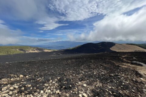 霧ヶ峰山火事後の様子20230506 ガボッチョ山山頂付近