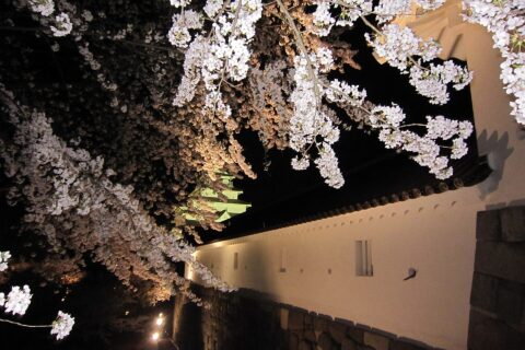 鶴ヶ城