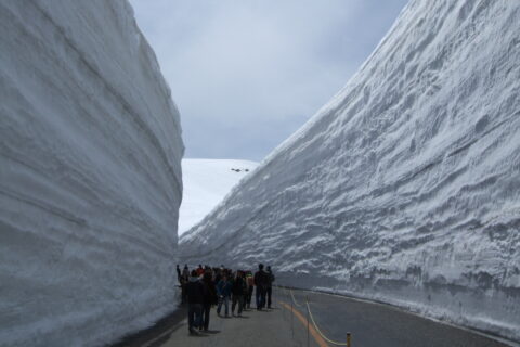 富山県立山町、立山有料道路・雪の大谷