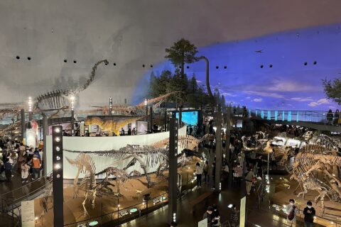 Fukui Prefectural Dinosaur Museum — photo 6