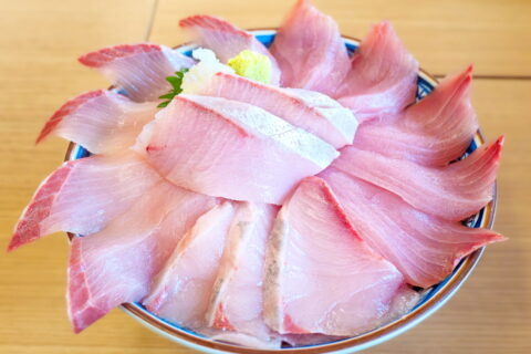ブリ丼（氷見魚市場食堂）