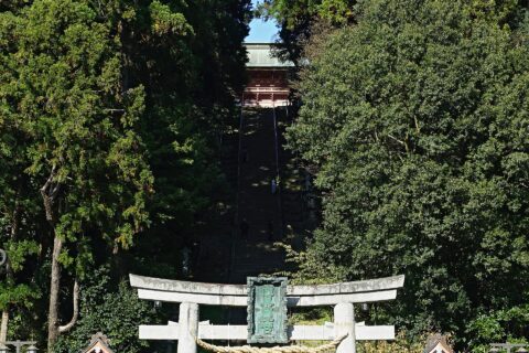 Shiogama Shrine — photo 6