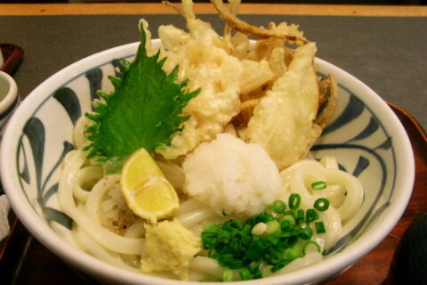 高松空港の讃岐うどん屋で食べた野菜天ぶっかけ。
