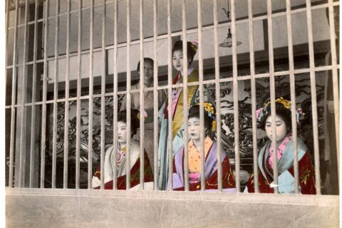 Yoshiwara district of Tokyo prostitutes on display. This type of photo was sometimes captioned "The Sisters on Exhibit" Hand-coloured albumen silver print.