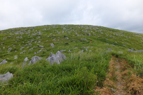 Akiyoshidai Quasi-National Park
