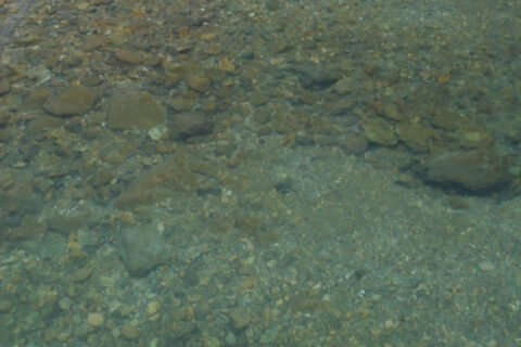anmon falls footpath