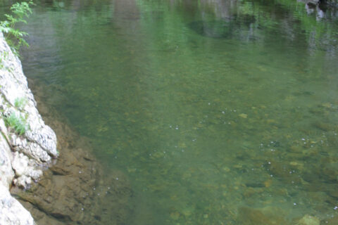 anmon falls footpath