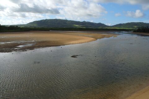 Nagra-anparu (Ramsar Sites), Ishigaki-jima, Okinawa, Japan / 名蔵アンパル（沖縄県石垣島） - ラムサール条約登録湿地