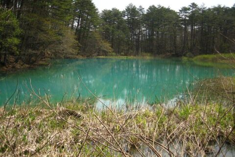 A picture of Ao-numa Pond, a volcanic lake in Fukushima, Japan, and one of the famed "Five Colored Lakes". Image was taken with a Canon PowerShot SD450 Digital Elph camera and edited using a Paint Shop program on a lapto