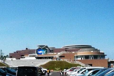 Aqua World Ibaraki Prefectural Oarai Aquarium in Oarai Town, Ibaraki Prefecture, Japan