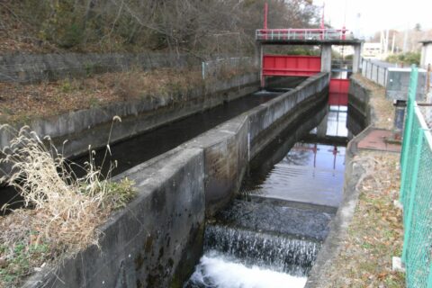 Asaka Canal — photo 6