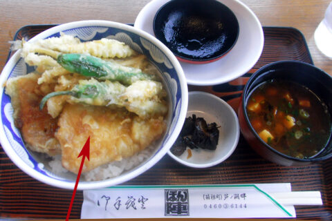 芦ノ湖丼。“ブラックバス(丼手前)、ニジマス(丼左の赤身の魚)、ワカサギ(シシトウの上)の天ぷらが入ったどんぶりです。ブラックバスは普通の白身魚と思いました。単なる天丼としてはお高め。観光地価格にしても通常の天丼より高いです。まあ、一度食べれば二度はないかと。”