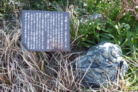 足摺 犬塚