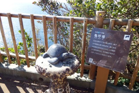足摺亀呼び場