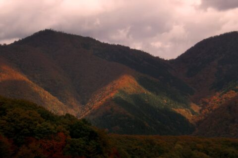 擬宝珠山(左)と皆ヶ山(右)岡山・鳥取県境の鬼女台展望休憩所からの北東の風景。鳥取県道・岡山県道114号大山上福田線参照。