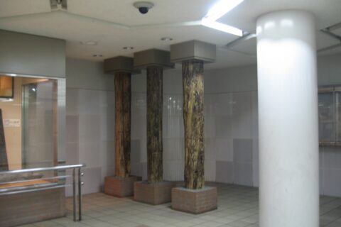 Bandai Bridge, Niigata — photo 10
