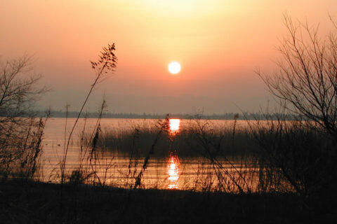 Biwako Quasi-National Park