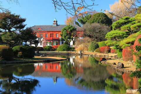 Koishikawa Botanical Japanese Garden Tokyo