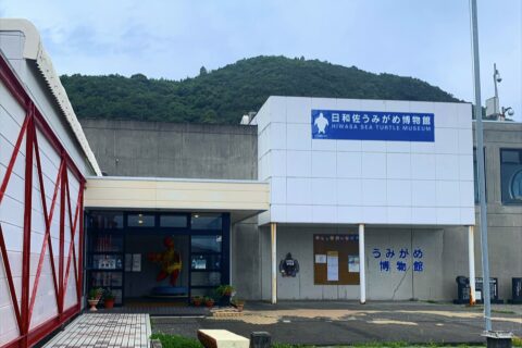 日和佐海龜博物館Caretta——照片 2