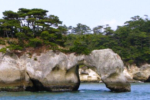 小藻根島の長命穴 （松島湾） ※東北地方太平洋沖地震により崩壊。