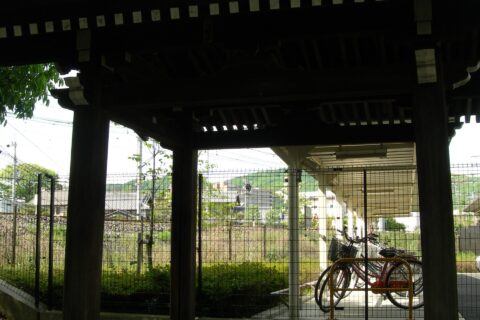 Chōzubachi in "Sakurai-eki-ato" (National historic sites of Japan) , Shimamoto, Osaka. taken in 2011.
