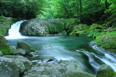 A small creek running through Nagisan National Park