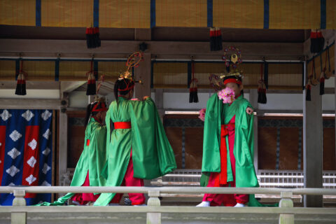 越後一宮彌彦神社の妻戸大神例祭（妃神例祭）に舞殿で奏される、舞楽「大々神楽」の「りん河」（稚児舞四人）。国重要無形民俗文化財に指定されている。