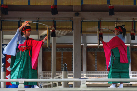 越後一宮彌彦神社の妻戸大神例祭（妃神例祭）に舞殿で奏される、舞楽「大々神楽」の「泰平楽」（稚児舞四人）。国重要無形民俗文化財に指定されている。