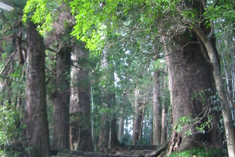 大門坂