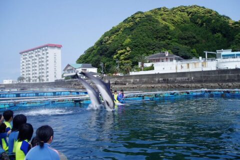 Taiji Whale Museum area