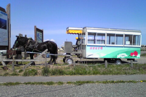野付半島のトドワラの「はまなす号」の馬車と曳き馬。2010年5月撮影。