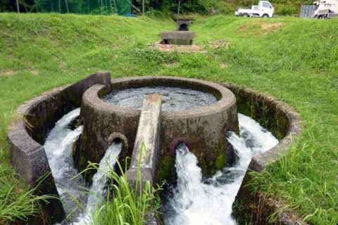 Asaka Canal — photo 3