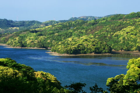肥前町寺浦の新緑 Fresh green of Hizen