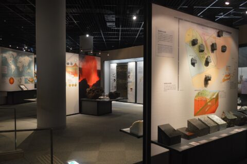 Fukui Prefectural Dinosaur Museum — photo 3