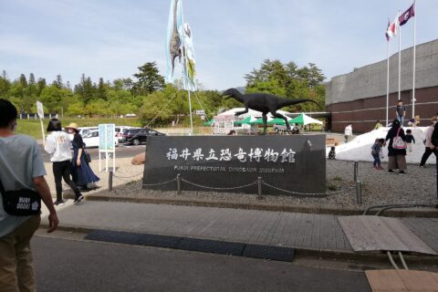 Fukui Prefectural Dinosaur Museum — photo 10