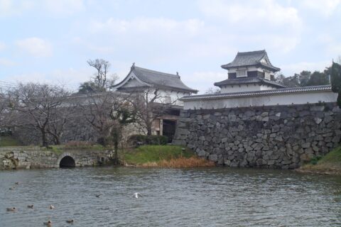 日本の福岡県福岡市の舞鶴公園に所在する、福岡城 下の橋大手門の跡を明治通り大手門交差点付近より撮影。中央の左が大手虎口の櫓門（上部建築の櫓（切妻造）は焼失後の追加復元。下部建築は焼失により破損後修復され一部現存）、右の建築は黒田邸より移築復元された伝潮見櫓（実際は別の櫓であることが分かっている）。塀は模擬建築である。
