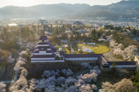 福島県 会津若松市 鶴ヶ城の桜 撮影日時：2017-04-24 06:09:33