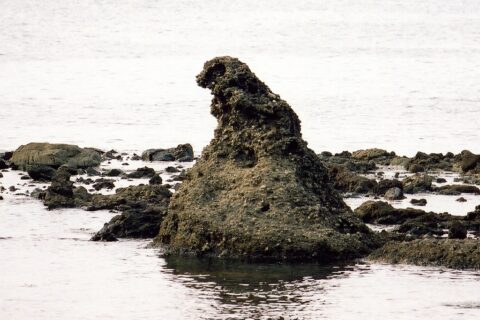 石川県珠洲市のゴジラ岩