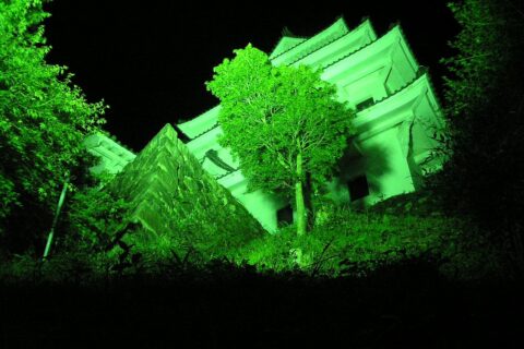 ライトアップされた郡上八幡城
