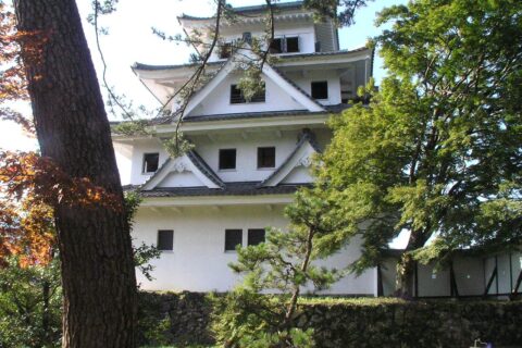 郡上八幡城裏側から見る