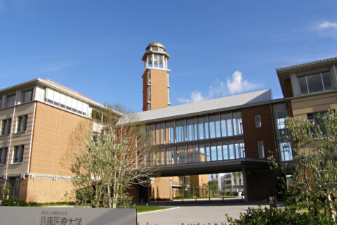 Hyogo University of Health Sciences
