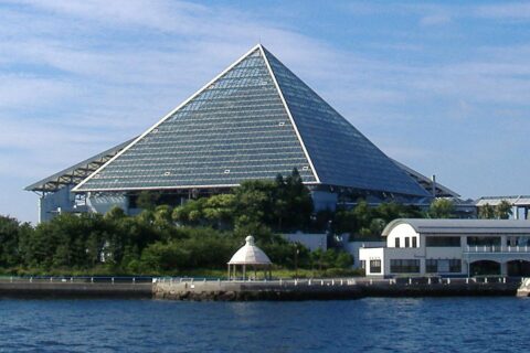 横浜・八景島シーパラダイス アクアミュージアム 利用者:Daddy t3による撮影およびアップロード よこはまはつけいしましいはらたいすあくあみゅうしあむ
